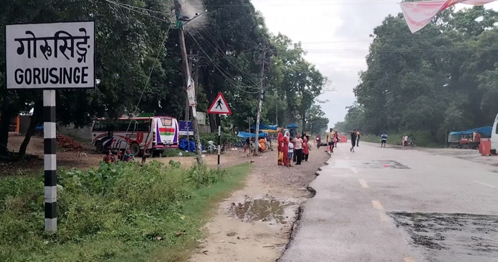 बुटवल–गोरुसिंगे सडक : निर्माणकाे ६२ वर्षपछि स्तरोन्नतिका लागि ठेक्का आह्वान